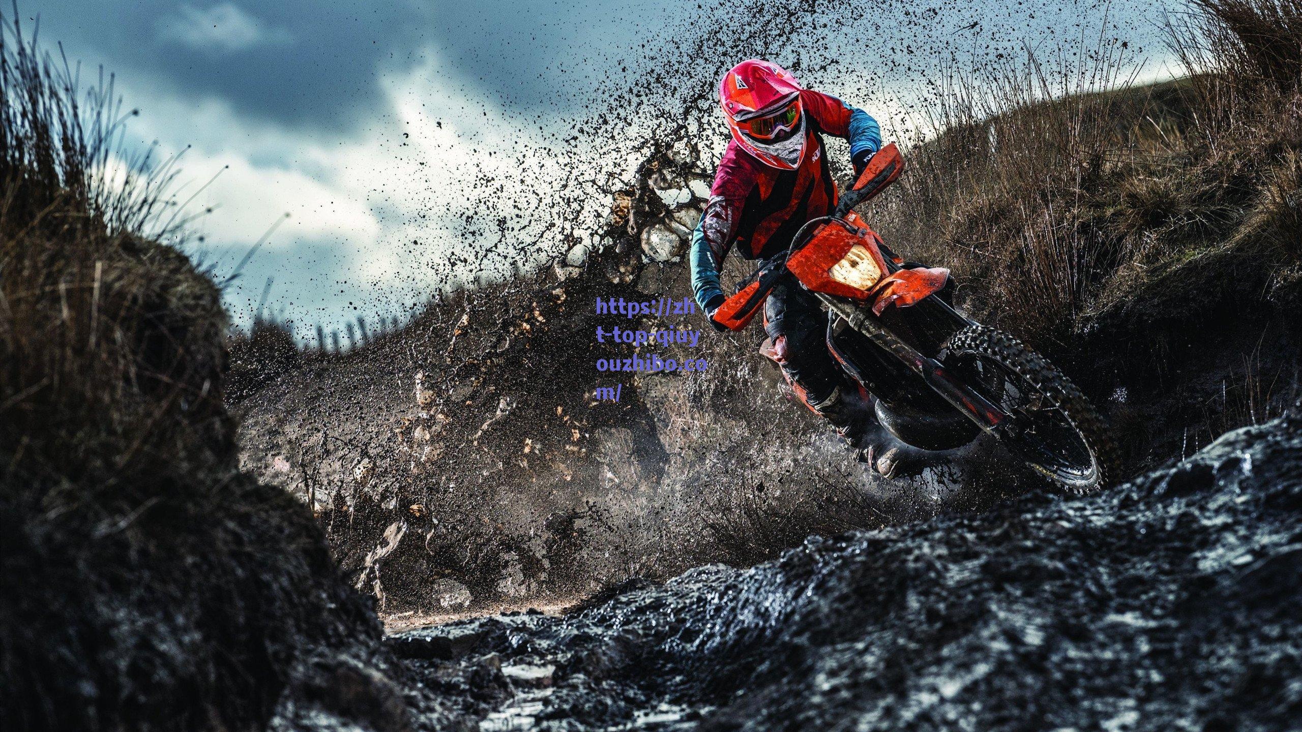 球友直播app下载-范尼18天闪电回归英超！执教莱斯特城，从曼联告别到英伦再起航